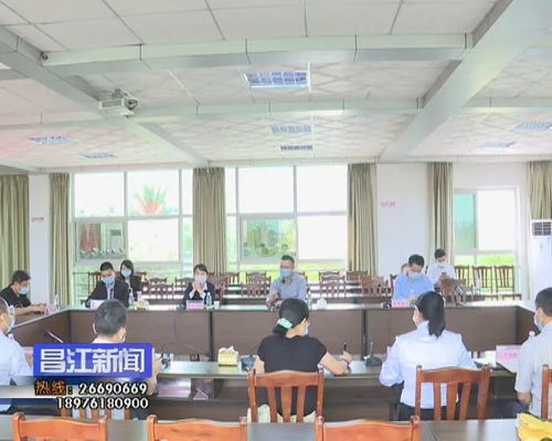 昌江電子商務發展迎來新契機 省商務廳電商處專題調研，聚焦信息咨詢服務升級